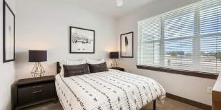 Volta at Voyager Gallery 15