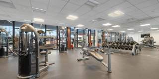 Domus by Mark-Taylor Gallery 12