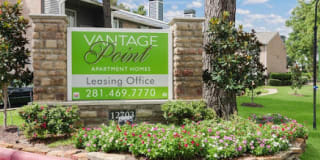 Vantage Point Gallery 14