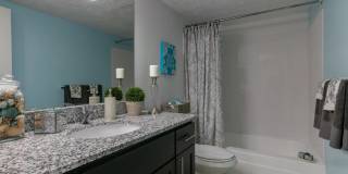Steeplechase Gallery 19