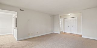 Camden Hills Gallery 29