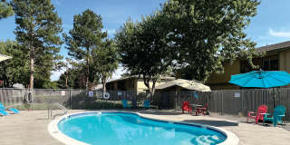 Windsong Apartments Gallery 23