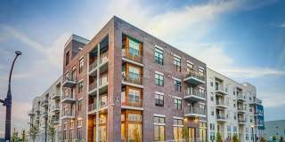 Vida at Daybreak Gallery 15