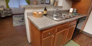 College Suites at City Station South - Student Housing Gallery 7