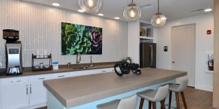 54 Magnolia Gallery 2