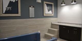 The Abbey at Sonterra Gallery 7