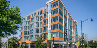 Tenley View Gallery 7