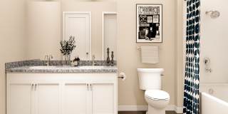 Springs at Lake Cook Crossing Gallery 7