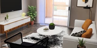Ventana Palms Gallery 20