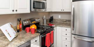 Park Royal Gallery 4