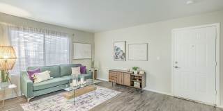 Desert Sage Gallery 5