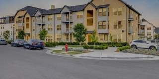 Vida at Daybreak Gallery 45