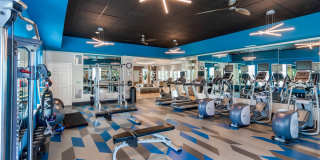 Emblem at Christiana Gallery 29