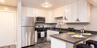 Solis Garden Gallery 5