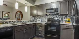 Regency at Ridgmar Gallery 12