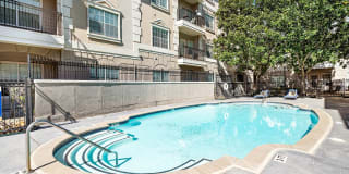 Rise at Elmside Gallery 16