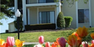 Starline Apartments Gallery 17