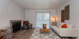 Forest Ridge Gallery 41