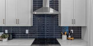 The Collection 31st Gallery 1