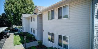 Saddle Club Gallery 1