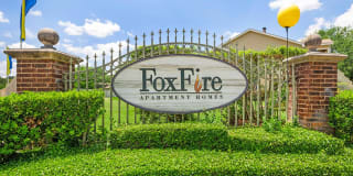 Foxfire Gallery 51