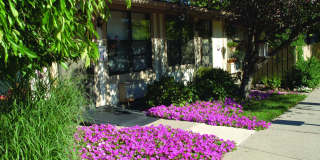 Randolph Court Gallery 9