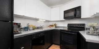 1120 North Lasalle Gallery 3