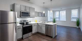 Axis at Ansel Axis at Ansel Gallery 1