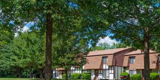 Somerset Mews Gallery 8