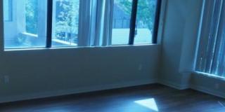 Yugo Seattle Lothlorien Gallery 34