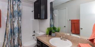 Forest Ridge Gallery 31