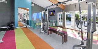 Camden Village Gallery 15