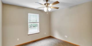 Sunset Woodland Gallery 2