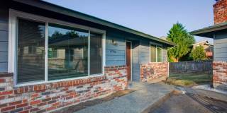 Archer Point Gallery 20
