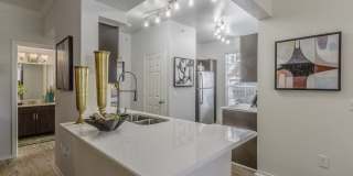 Republic  House at Frisco Bridges Gallery 7