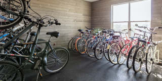 Lincoln Place Gallery 15