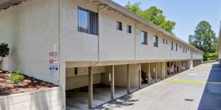 Cherry Blossom Apartments Gallery 5