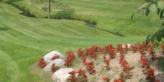 Pebble Creek Gallery 3