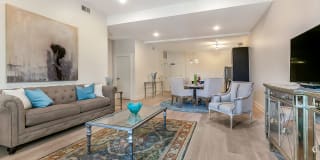 THE ANNEX THE ANNEX Gallery 1