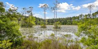 Exchange at Wildlight Gallery 14