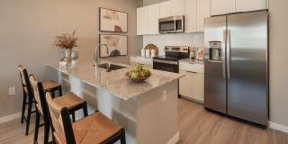 The Carson Gallery 1