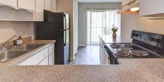 The Onyx at 3211 Gallery 28