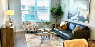 The Collective Upper Westside Gallery 8