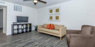 Palisade Park Gallery 5