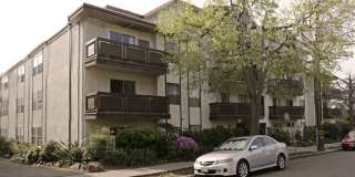 Mariposa Apartments Gallery 10