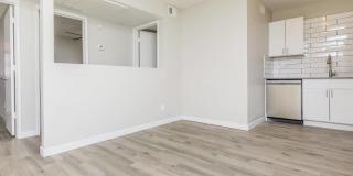 Agave on 83rd Gallery 11