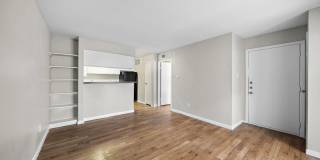 Flint at 290 Gallery 6