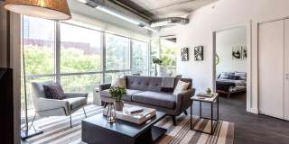 The Scholar The Scholar Gallery 5