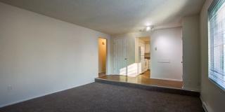 Archer Point Gallery 6