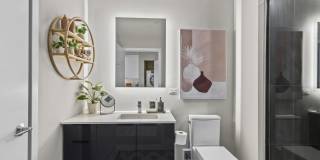 Albion in the Gulch Gallery 40